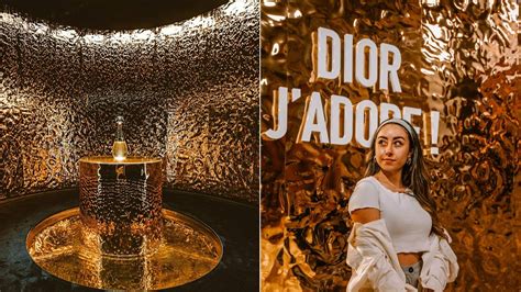 dior beaux arts|Dior j'adore show.